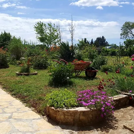 Ferienhaus Fafarinka - Close To Krka National Park