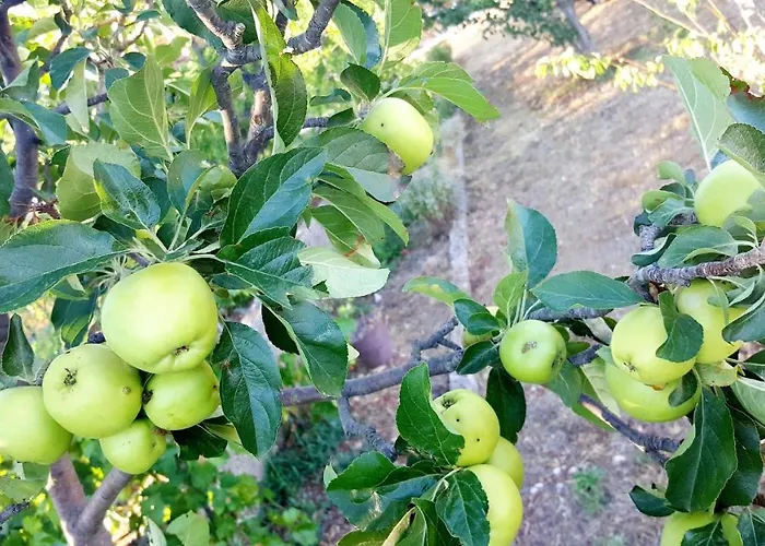 Fafarinka - Close To Krka National Park Konjevrate